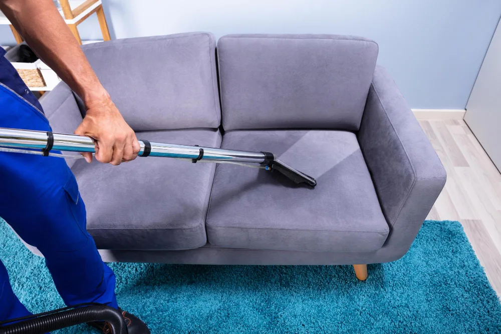 sofaclean